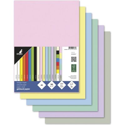 Kangaro papier - a4 - 160 gram fsc - pastel assorti - pak 50 vel Kangaro papier - a4 - 160 gram fsc - pastel assorti - pak 50 vel