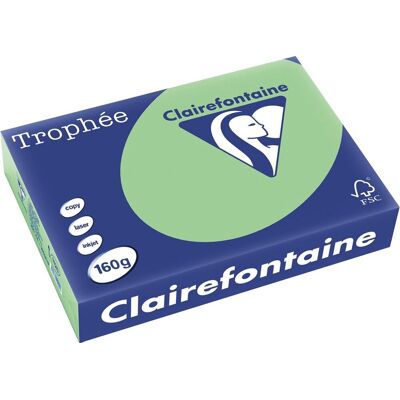 Clairefontaine trophée pastel, gekleurd papier, a4, 160 g, 250 vel, natuurgroen Clairefontaine trophée pastel, gekleurd papier, a4, 160 g, 250 vel, natuurgroen