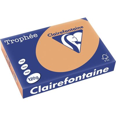 Clairefontaine trophée pastel gekleurd papier a4 120 g 250 vel mokkabruin Clairefontaine trophée pastel gekleurd papier a4 120 g 250 vel mokkabruin