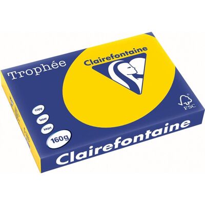 Clairefontaine trophée pastel gekleurd papier a3 160 g 250 vel goudgeel Clairefontaine trophée pastel gekleurd papier a3 160 g 250 vel goudgeel