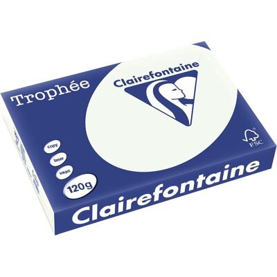 Clairefontaine trophée pastel, gekleurd papier, a4, 120 g, 250 vel, lichtgroen Clairefontaine trophée pastel, gekleurd papier, a4, 120 g, 250 vel, lichtgroen