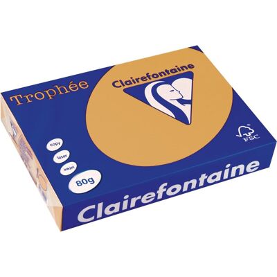 Clairefontaine Caramel A4 - Kleurend Papier 80 g/m² Clairefontaine Caramel A4 - Kleurend Papier 80 g/m²