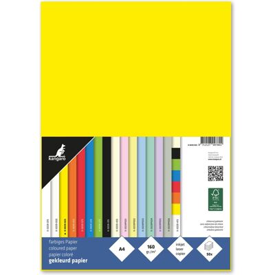 Kangaro papier - a4 - 160 gram fsc - pak 50 vel - geel Kangaro papier - a4 - 160 gram fsc - pak 50 vel - geel