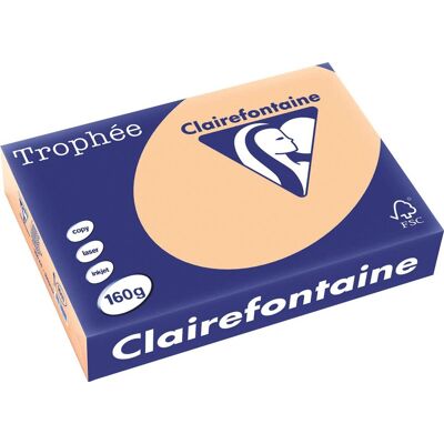Clairefontaine trophée pastel, gekleurd papier, a4, 160 g, 250 vel, abrikoos Clairefontaine trophée pastel, gekleurd papier, a4, 160 g, 250 vel, abrikoos