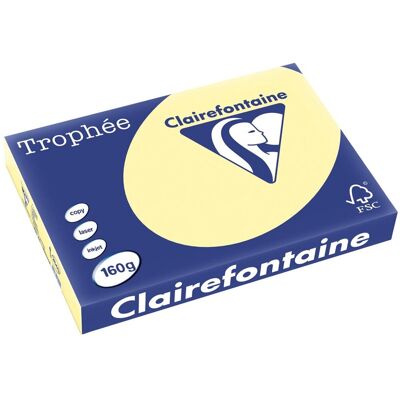 Clairefontaine trophée pastel, gekleurd papier, a3, 160 g, 250 vel, kanariegeel Clairefontaine trophée pastel, gekleurd papier, a3, 160 g, 250 vel, kanariegeel