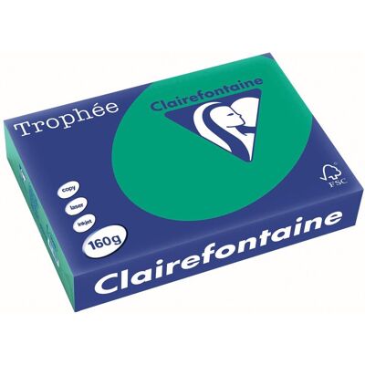 Clairefontaine Dennengroen A4 - 160g - Kleurend Papier - 250 vel Clairefontaine Dennengroen A4 - 160g - Kleurend Papier - 250 vel