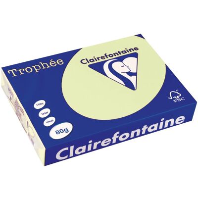 Clairefontaine trophée gekleurd papier, a4, 80 g, 500 vel, lichtgroen Clairefontaine trophée gekleurd papier, a4, 80 g, 500 vel, lichtgroen