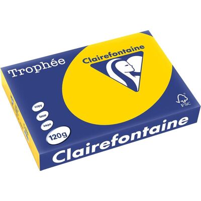 Clairefontaine Goudkopieerpapier A4 - Kopieerpapier Clairefontaine Goudkopieerpapier A4 - Kopieerpapier