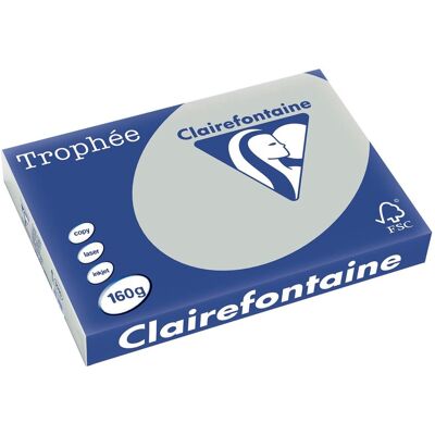 Clairefontaine trophée pastel gekleurd papier a3 160 g 250 vel lichtgrijs Clairefontaine trophée pastel gekleurd papier a3 160 g 250 vel lichtgrijs