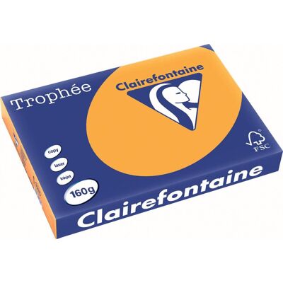 Clairefontaine trophã©e pastel gekleurd papier a3 160 g 250 vel oranje Clairefontaine trophã©e pastel gekleurd papier a3 160 g 250 vel oranje