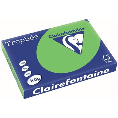 Clairefontaine trophée intens gekleurd papier a3 160 g 250 vel grasgroen Clairefontaine trophée intens gekleurd papier a3 160 g 250 vel grasgroen