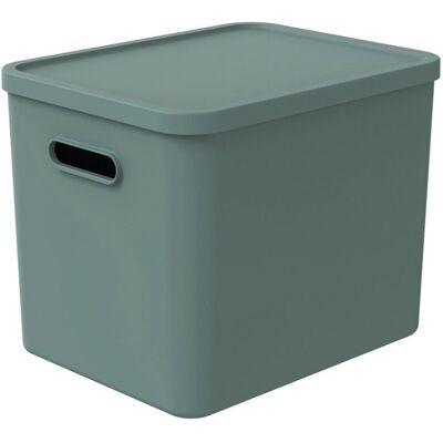 Rotho kayo multi box 37x29x29.5 cm 27l sage green Rotho kayo multi box 37x29x29.5 cm 27l sage green