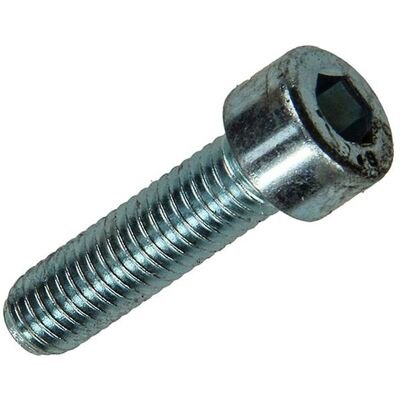Mack 1017653 - binnenzeskant bout cyl.kop verz. 4 st m8 x 30 mm 10 stuks Mack 1017653 - binnenzeskant bout cyl.kop verz. 4 st m8 x 30 mm 10 stuks