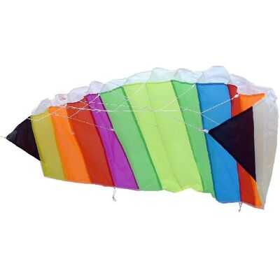 Basic Parafoil stunter kite 120x50 met tas Basic Parafoil stunter kite 120x50 met tas