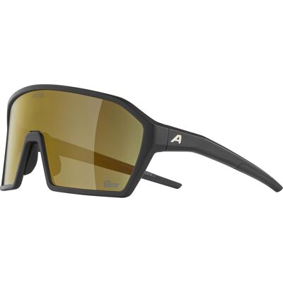 Olympic Sportswear Alpina sports sportbril ram q-lite gouden spiegel zwart Olympic Sportswear Alpina sports sportbril ram q-lite gouden spiegel zwart