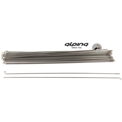 Alpina Spaken rvs 13-234 zonder nippel Alpina Spaken rvs 13-234 zonder nippel