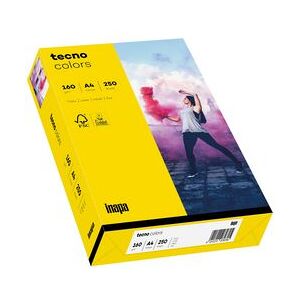 Inapa tecno colors A4 160 g/m² multifunctioneel papier - Printerpapier Inapa tecno colors A4 160 g/m² multifunctioneel papier - Printerpapier