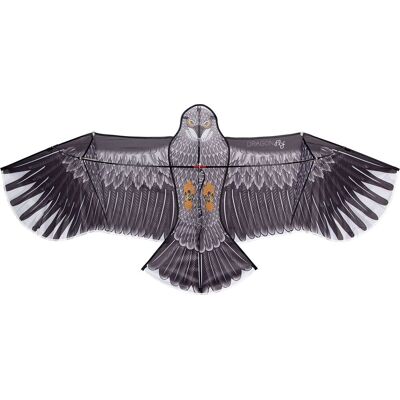 Vlieger Eagle Dragon Fly - Lichtgewicht Antraciet voor Kinderen Vlieger Eagle Dragon Fly - Lichtgewicht Antraciet voor Kinderen