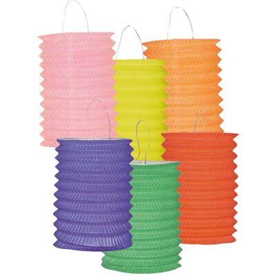 Boland Treklampion kleur Boland Treklampion kleur