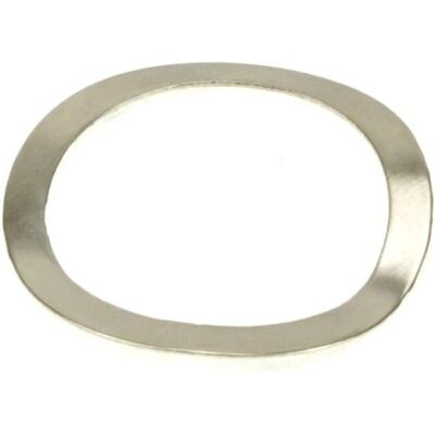 Enduro Bearings - WA Wave 15/0,3-Wave Washer-15x0,3 Enduro Bearings - WA Wave 15/0,3-Wave Washer-15x0,3