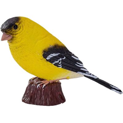 Mojo garden birds amerikaanse distelvink 381125 Multi kleuren Mojo garden birds amerikaanse distelvink 381125 Multi kleuren