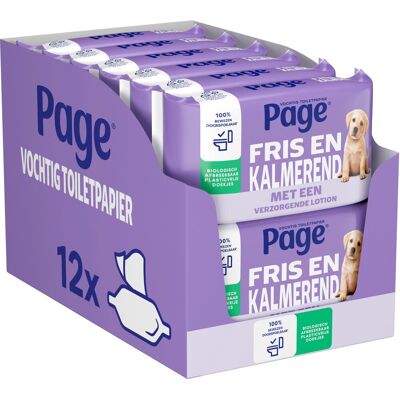 Page ® vochtig toiletpapier - fris en kalmerend (care) - met een verzorgende lotion - 456 velletjes - 12 x 38 stuks - voordeelverpakking Page ® vochtig toiletpapier - fris en kalmerend (care) - met een verzorgende lotion - 456 velletjes - 12 x 38 stuks - voordeelverpakking