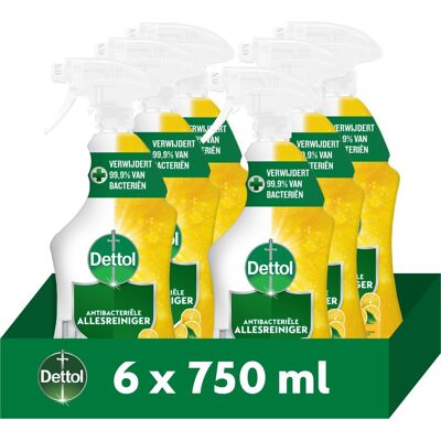 Dettol antibacteriële allesreiniger spray sprankelende citroen 750ml - 6 stuks - voordeelverpakking Dettol antibacteriële allesreiniger spray sprankelende citroen 750ml - 6 stuks - voordeelverpakking