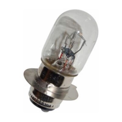 Bosma Yamaha duplo lamp 12v 25/25w vision/mint Bosma Yamaha duplo lamp 12v 25/25w vision/mint