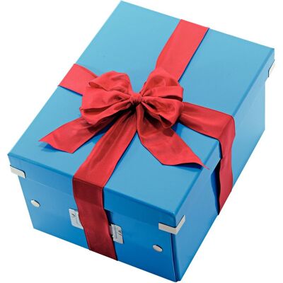 Leitz wow click & store middelgrote kartonnen opbergdoos - 85% gerecycled karton - 28.1 x 37 cm (bxd) - ideaal voor kantoor en thuiswerken - blauw Leitz wow click & store middelgrote kartonnen opbergdoos - 85% gerecycled karton - 28.1 x 37 cm (bxd) - ideaal voor kantoor en thuiswerken - blauw