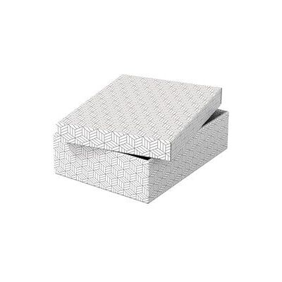 Opbergdoos Esselte 628284 Medium Plat 9 l Wit Opbergdoos Esselte 628284 Medium Plat 9 l Wit
