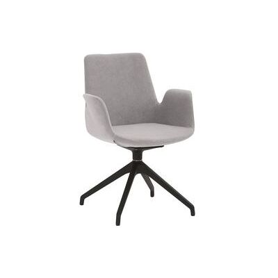 Fauteuil Mayer Sitzmöbel 2009_S3_30604 Polyester Grijs Fauteuil Mayer Sitzmöbel 2009_S3_30604 Polyester Grijs