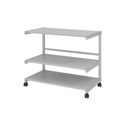 Bach Trolley hammerer 18b3/5 80.5x43x67cm lichtgrijs Bach Trolley hammerer 18b3/5 80.5x43x67cm lichtgrijs