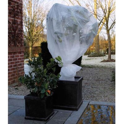 Nature - winterafdekvlies voor planten - 2 x 10m - 30 g/m² - winterbescherming Nature - winterafdekvlies voor planten - 2 x 10m - 30 g/m² - winterbescherming