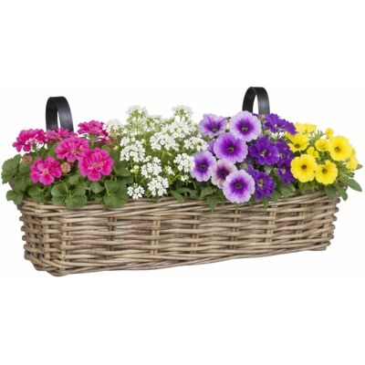 Mica Decorations hangmand voor planten - 46 x 19 x 15 cm - gevlochten - hangende railing plantenbak - beugels Mica Decorations hangmand voor planten - 46 x 19 x 15 cm - gevlochten - hangende railing plantenbak - beugels