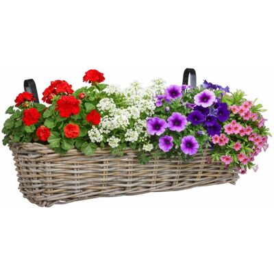 Mica Decorations hangmand voor planten - 60 x 19 x 15 cm - gevlochten - hangende railing plantenbak - beugels Mica Decorations hangmand voor planten - 60 x 19 x 15 cm - gevlochten - hangende railing plantenbak - beugels