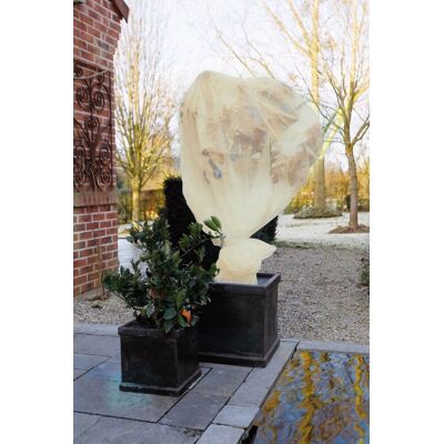 Nature - winterafdekvlies voor planten - 2 x 10m - 60 g/m² - winterbescherming Nature - winterafdekvlies voor planten - 2 x 10m - 60 g/m² - winterbescherming