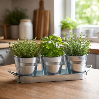 Kinzo bloempot set met 3 metalen bloempotten - zinken bloempot met plantenpot met tray - kruidenpotjes voor bloempot binnen - ca. 34 x 10,5 cm Kinzo bloempot set met 3 metalen bloempotten - zinken bloempot met plantenpot met tray - kruidenpotjes voor bloempot binnen - ca. 34 x 10,5 cm