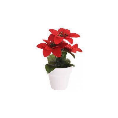 Overige Merken Kerstplant rood pot keramiek Overige Merken Kerstplant rood pot keramiek