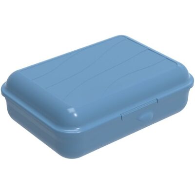 Rotho fun lunchbox 1.25l horizon blauw Rotho fun lunchbox 1.25l horizon blauw