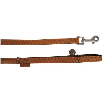 Hondenriem ZOLUX - 15 mm x 120 cm - Geel Bruin Hondenriem ZOLUX - 15 mm x 120 cm - Geel Bruin