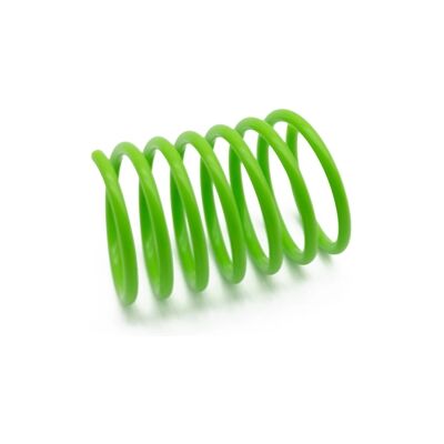 Happy Pet tabby patch springs Happy Pet tabby patch springs