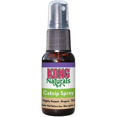 KONG Catnip spray - kattenspeelgoed - 30 ml KONG Catnip spray - kattenspeelgoed - 30 ml