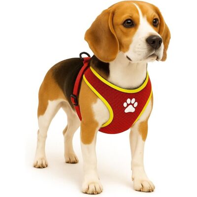 Flamingo Harnas hond - honden tuigje - harnas hond anti trek - hondentuigjes - hondentuig anti trek - step&go tasha - rood - maat m - a:53cm b:65-75cm x 20mm x 5mm Flamingo Harnas hond - honden tuigje - harnas hond anti trek - hondentuigjes - hondentuig anti trek - step&go tasha - rood - maat m - a:53cm b:65-75cm x 20mm x 5mm