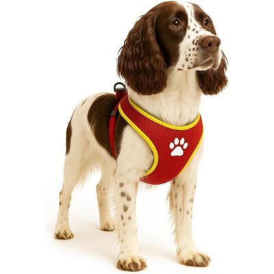 Flamingo Harnas hond - honden tuigje - harnas hond anti trek - hondentuigjes - hondentuig anti trek - step&go tasha - rood - maat l - a:58cm b:75-95cm x 20mm x 5mm Flamingo Harnas hond - honden tuigje - harnas hond anti trek - hondentuigjes - hondentuig anti trek - step&go tasha - rood - maat l - a:58cm b:75-95cm x 20mm x 5mm