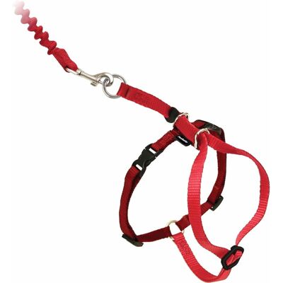 PetSafe easy walk cat harness met bungee leash - tuigje voor het uitlaten van je kat - rood of blauw - s/m/l - kleur: rood, maat: large 33-46 cm PetSafe easy walk cat harness met bungee leash - tuigje voor het uitlaten van je kat - rood of blauw - s/m/l - kleur: rood, maat: large 33-46 cm