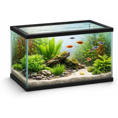 Flamingo Aquarium - volglas aquarium - 40x20x25cm - 17,3l - glas - zwart kunststof frame - europese kwaliteit - voor alle vissoorten - binnen Flamingo Aquarium - volglas aquarium - 40x20x25cm - 17,3l - glas - zwart kunststof frame - europese kwaliteit - voor alle vissoorten - binnen