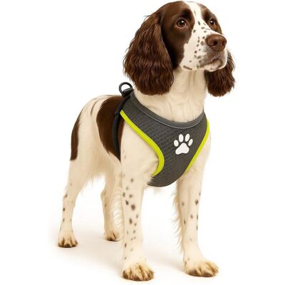 Flamingo Harnas hond - honden tuigje - harnas hond anti trek - hondentuigjes - hondentuig anti trek - step&go tasha - grijs - maat l - a:58cm b:75-95cm x 20mm x 5mm l Flamingo Harnas hond - honden tuigje - harnas hond anti trek - hondentuigjes - hondentuig anti trek - step&go tasha - grijs - maat l - a:58cm b:75-95cm x 20mm x 5mm l