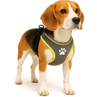 Flamingo Harnas hond - honden tuigje - harnas hond anti trek - hondentuigjes - hondentuig anti trek - step&go tasha - grijs - maat m - a:53cm b:65-75cm x 20mm x 5mm Flamingo Harnas hond - honden tuigje - harnas hond anti trek - hondentuigjes - hondentuig anti trek - step&go tasha - grijs - maat m - a:53cm b:65-75cm x 20mm x 5mm