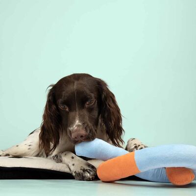 Duvo+ Snuggle Snake - Hondenspeelgoed Duvo+ Snuggle Snake - Hondenspeelgoed