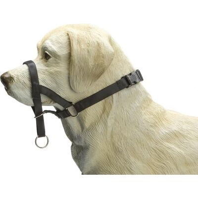 Beeztees dog control - halsband hond - zwart - s Beeztees dog control - halsband hond - zwart - s
